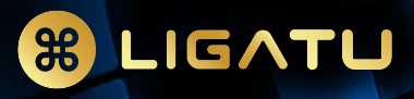 ligatu.pt